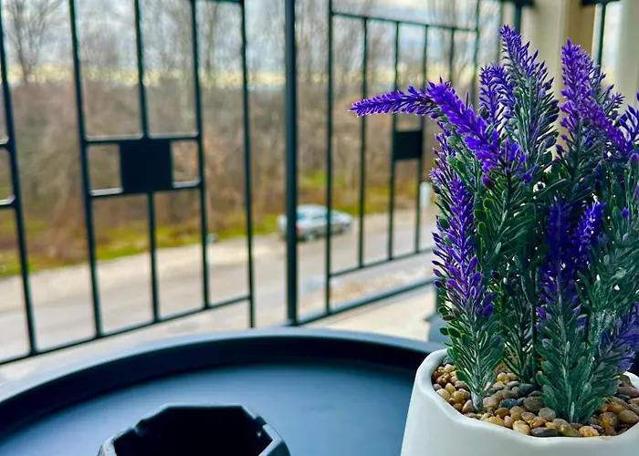 Regatta Park 1br Exclusive Parking Included Daire Filibe